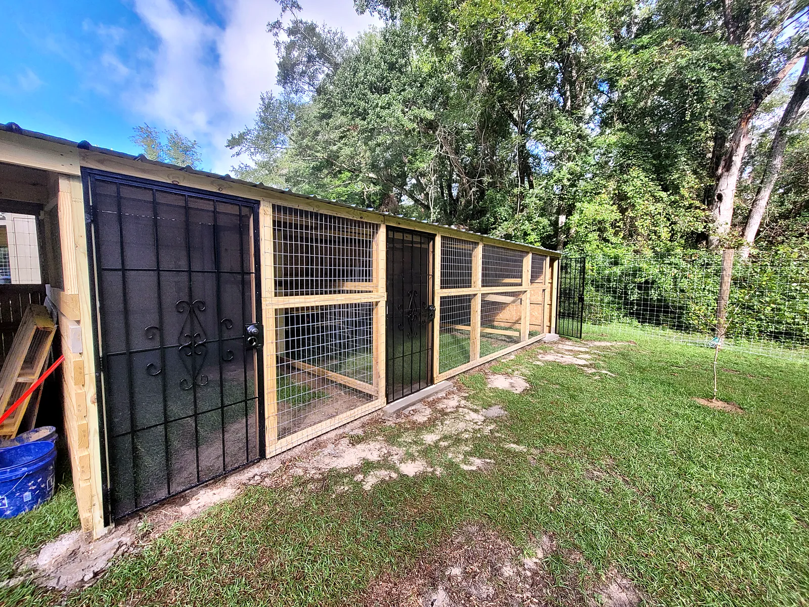 Long covered run with black welded-wire panels