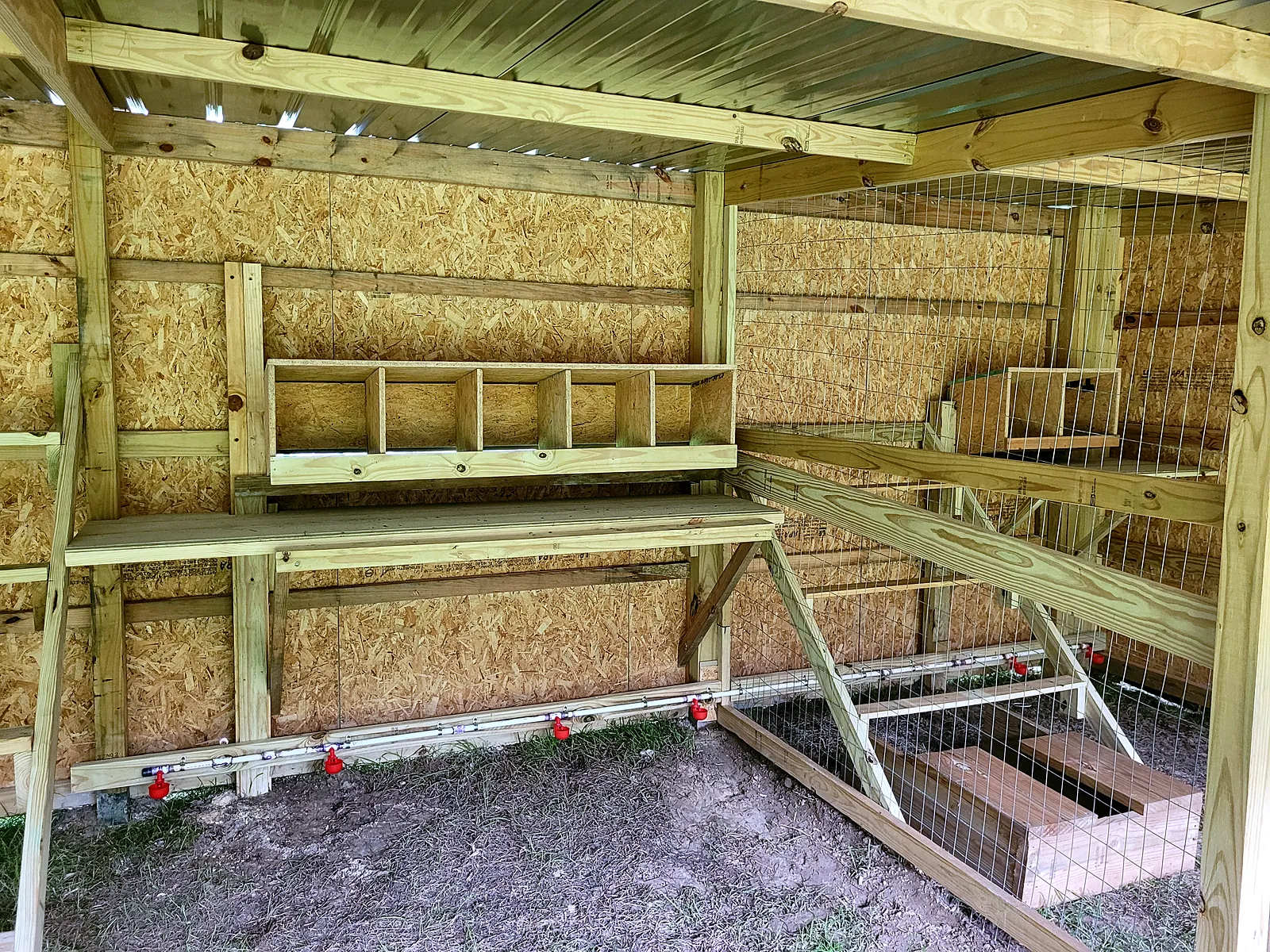 Coop interior with roost bars and nesting boxes