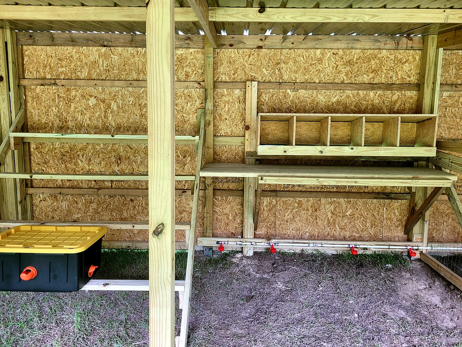 Coop interior framing with nesting boxes